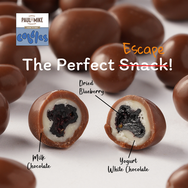 Chocolate coated Blueberry