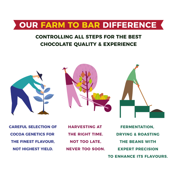 Paul & Mike’s Farm to Bar process visual – clean ingredients, direct sourcing, and artisanal chocolate-making commitment.